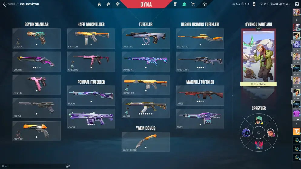 Full + Full Valorant Hesap